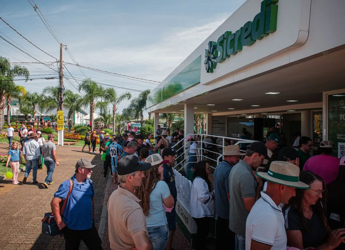  padrão 1250x870 (1) 