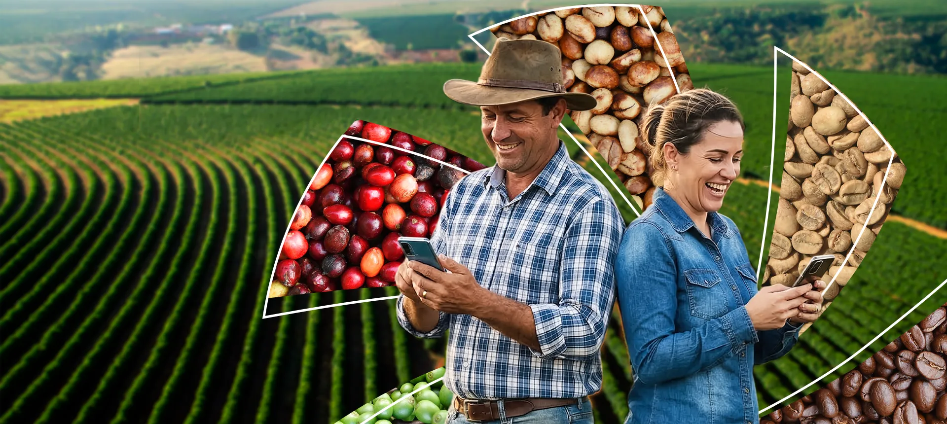  Imagem do site Sicredi 