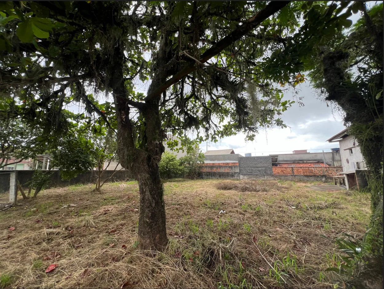  Terreno em Tijucas 500m – Bairro Centro - Detalhes 2.png 