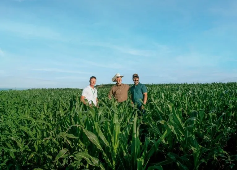  Liberação de crédito rural.jpg 