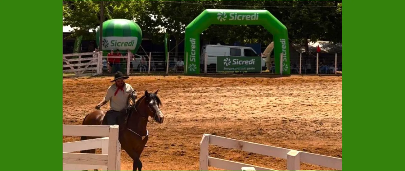  rodeo.png 