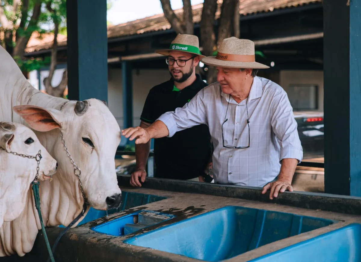  padrão 1250x870 (6) 