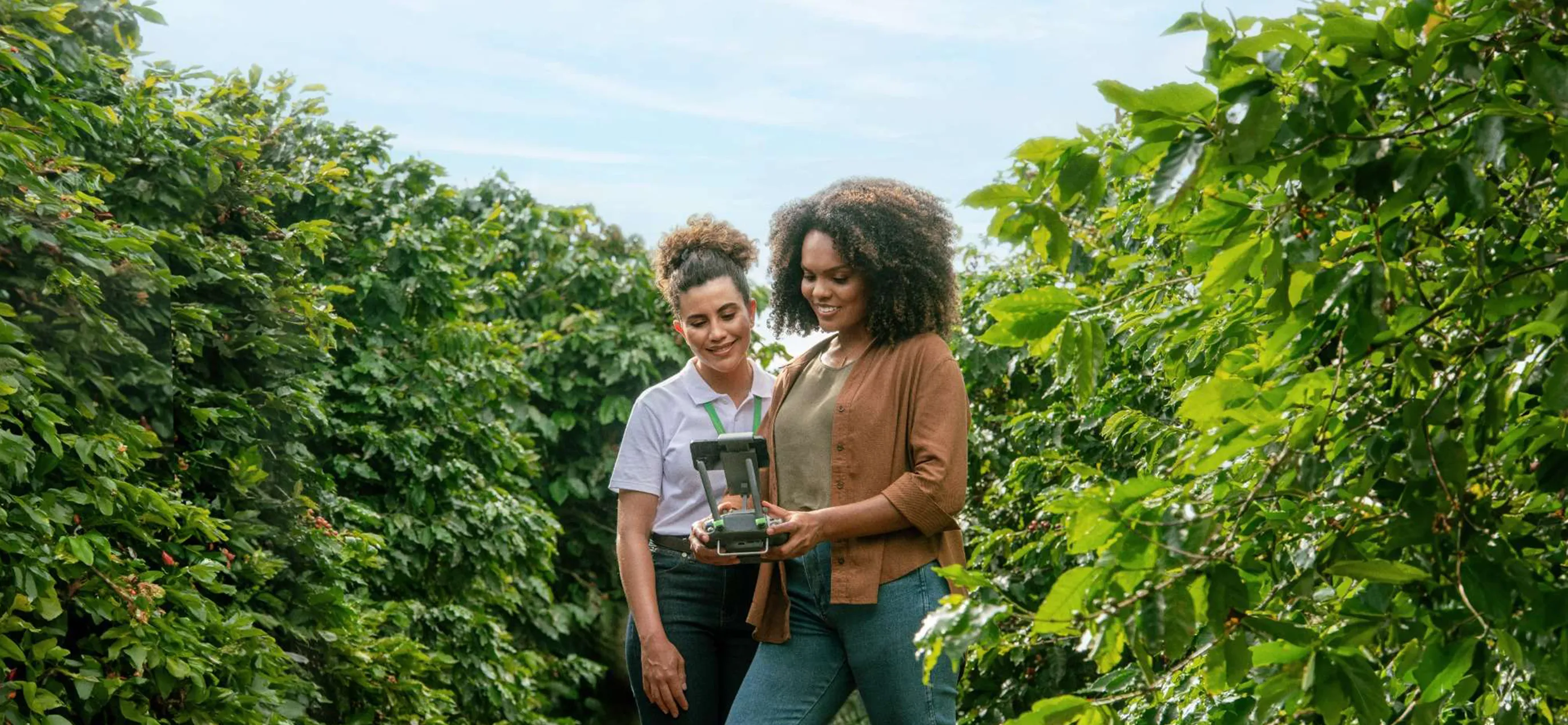  Sicredi reforça liderança no crédito rural do Paraná, com 23,4% do volume liberado 