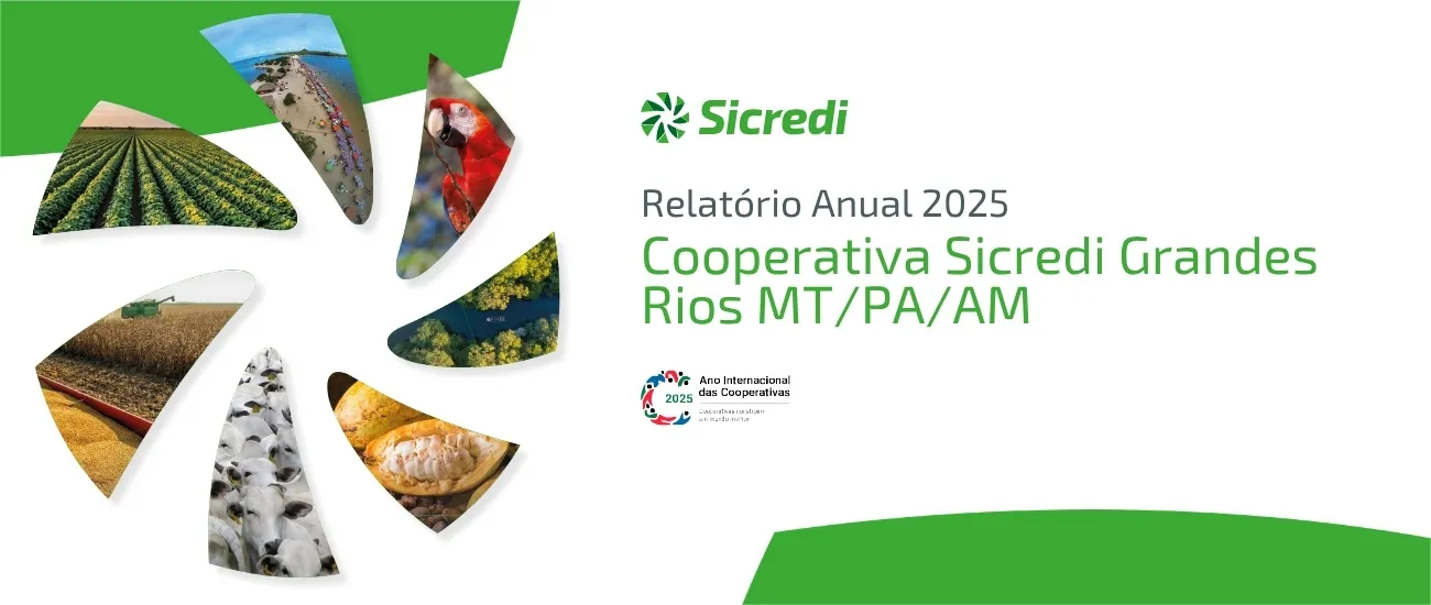  capa release relatorio anual 2025 