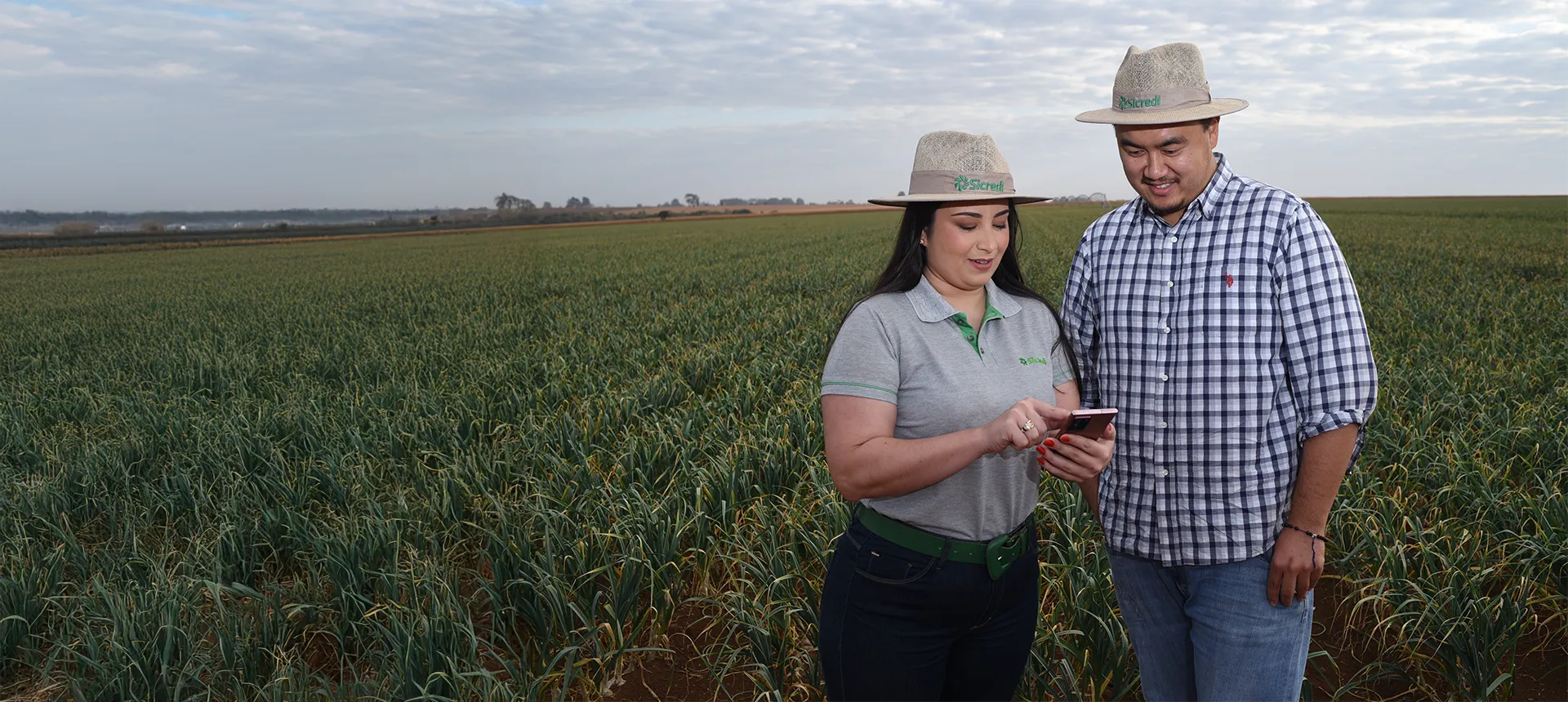  Imagem do site Sicredi 