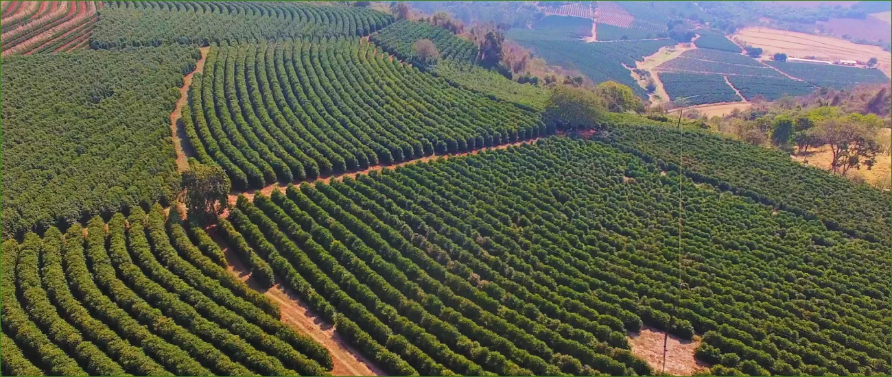  Apoio ao agro Sicredi.png 