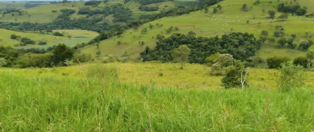  Captura de tela 2026-05-12 141230.png 
