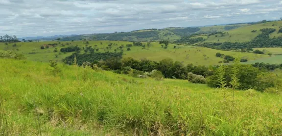  Captura de tela 2026-05-12 141250.png 