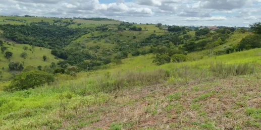  Captura de tela 2026-05-12 141320.png 