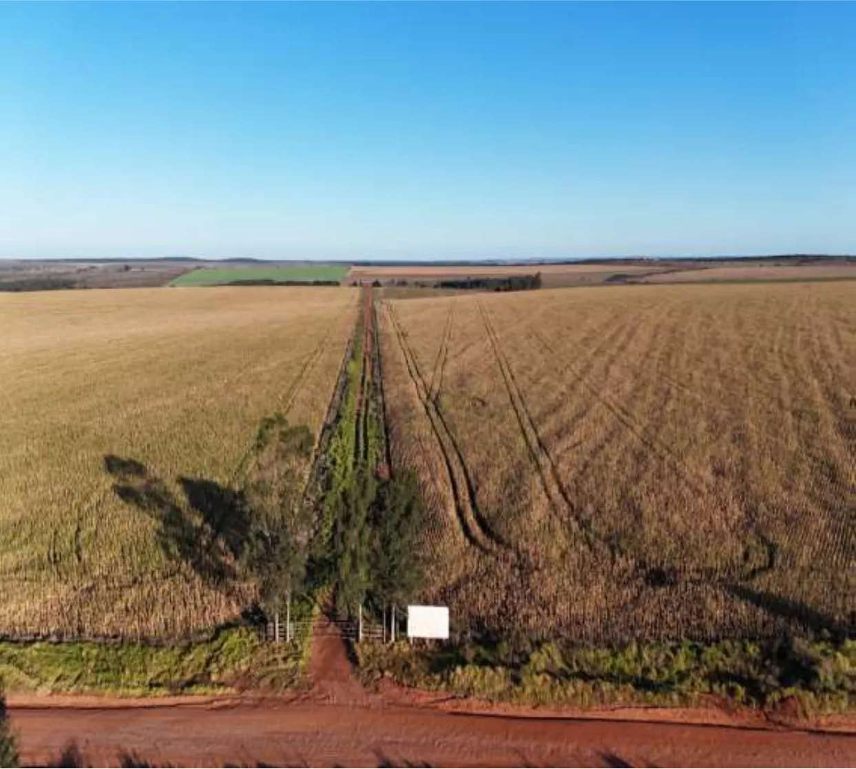 Fazenda são Francisco 001.jpg 