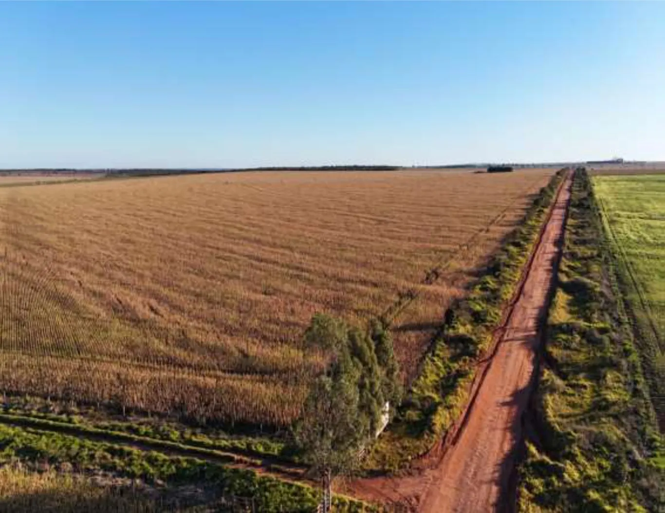  Fazenda são Francisco 002.jpg 