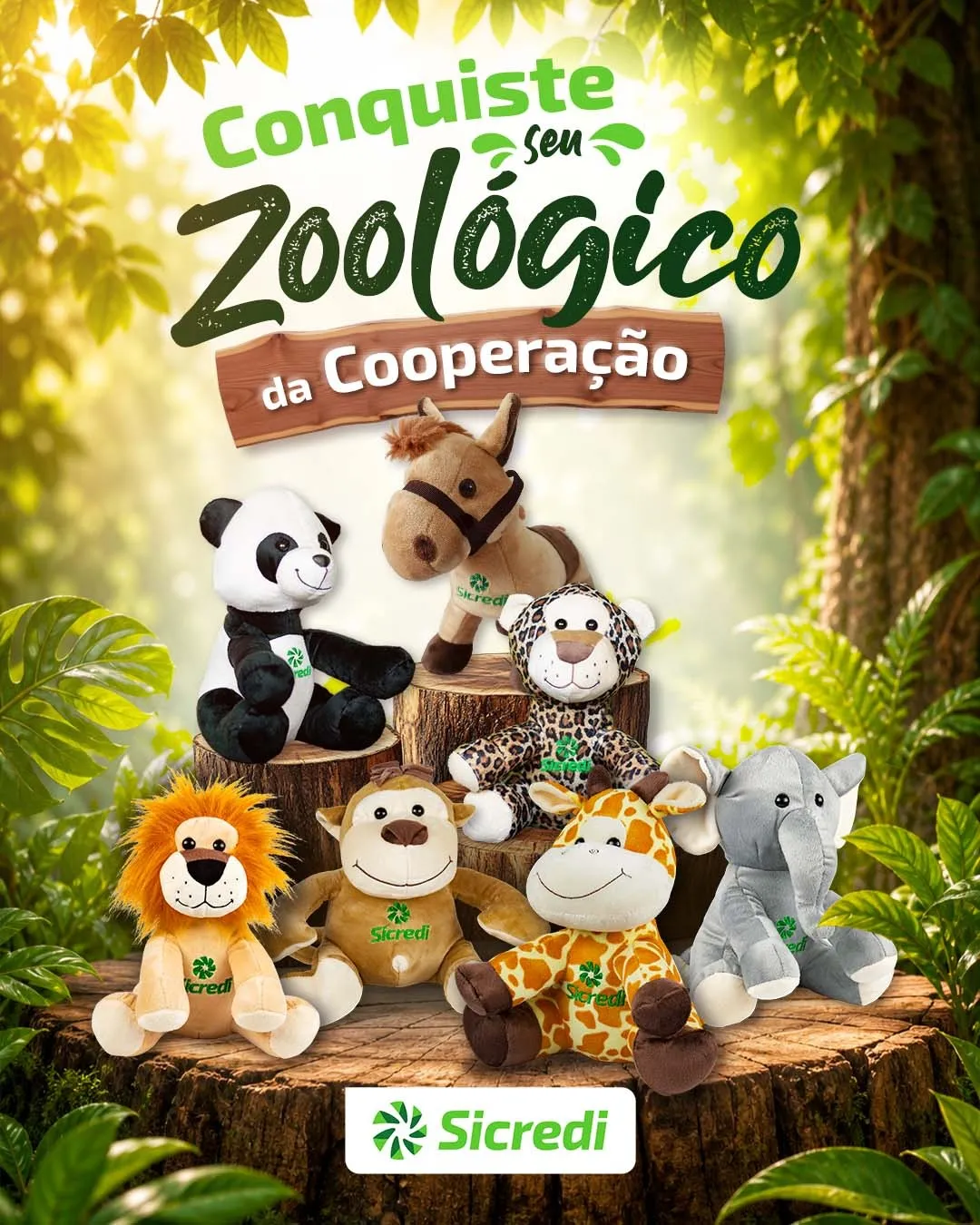  Zoológico da Cooperação 