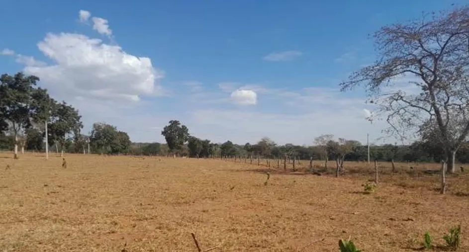  fazenda salto  