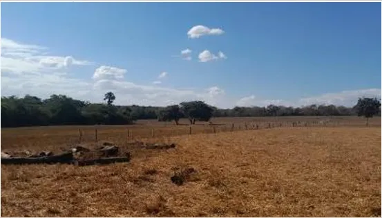  fazenda salto 1.png 