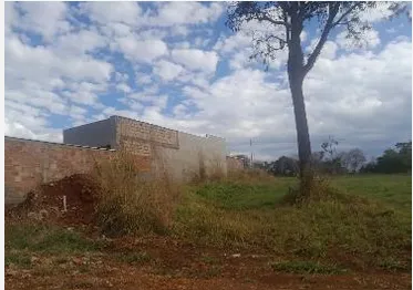  mineiros 1 
