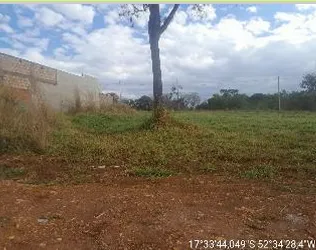  mineiros 2.png 