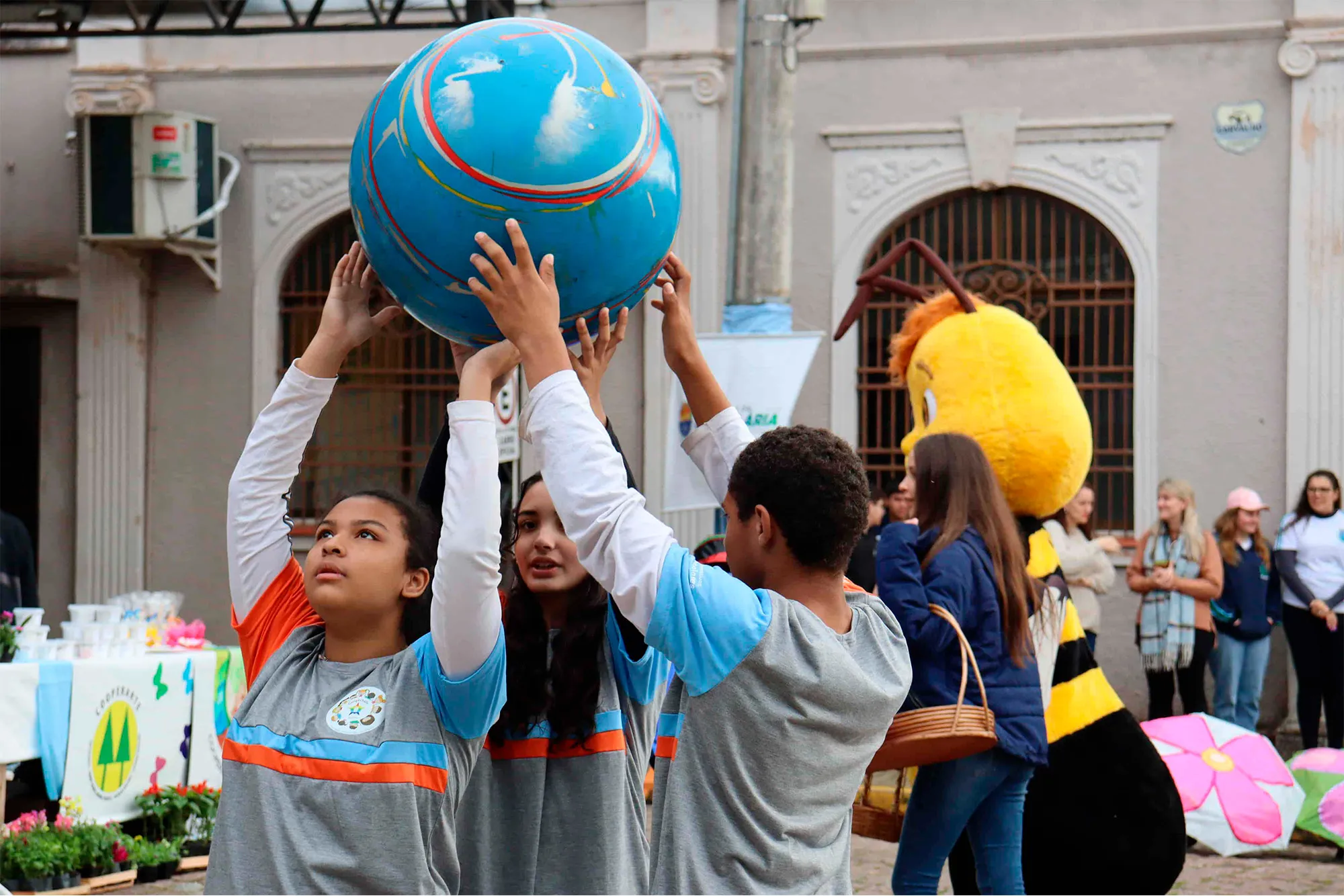  Sem Título-1_coops5.jpg 