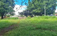 100371-005.jpg