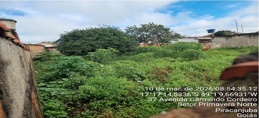  lote 22 4.png 