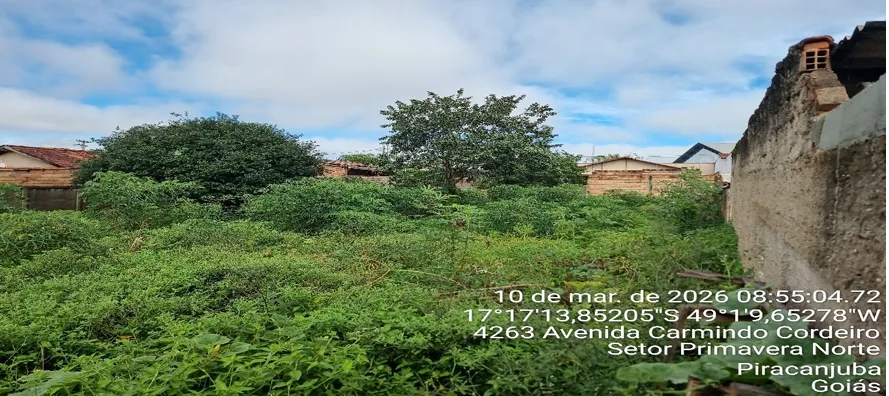  lote 22 5.png 