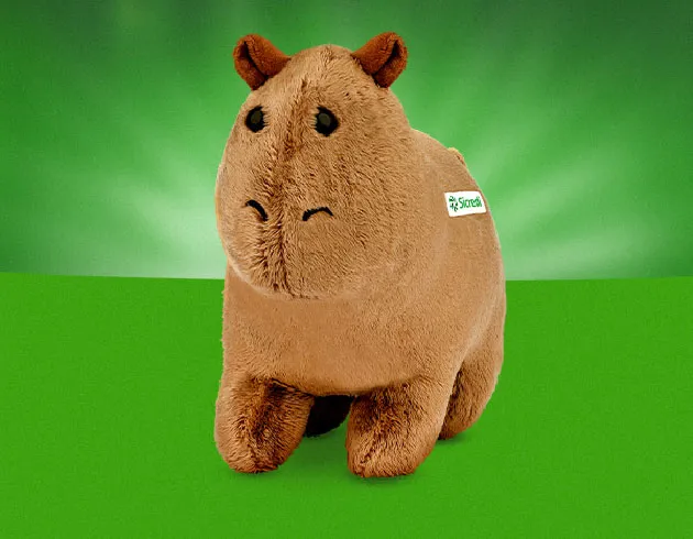  Imagem da capivara Nina. 