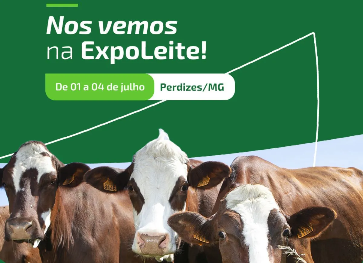  padrão 1250x870 (3) 