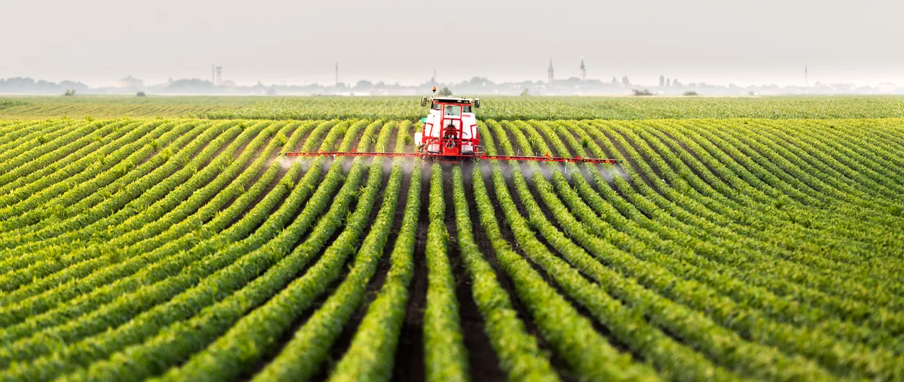  A imagem retrata uma extensa lavoura organizada em longas fileiras verdes que se estendem até o horizonte. No centro da cena, um pulverizador agrícola vermelho e branco percorre a plantação aplicando insumos, visíveis como uma névoa fina saindo de suas barras laterais. Ao fundo, uma leve neblina sua 
