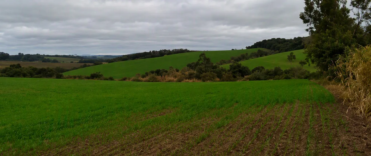  imovel_rural 