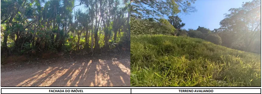  Captura de tela 2026-07-15 111650.png 