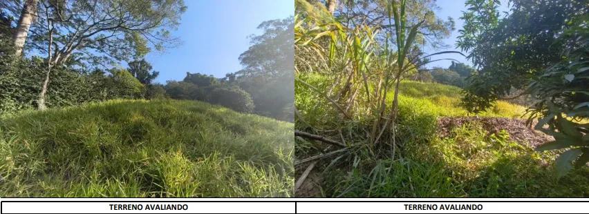 Captura de tela 2026-07-15 111719.png 
