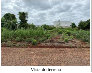  Captura de tela 2026-07-17 084117 