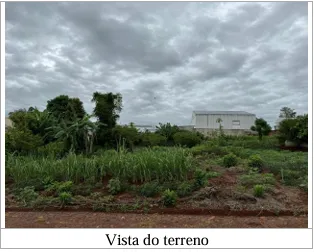 Captura de tela 2026-07-17 084313.png 