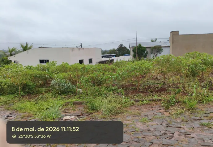  Captura de tela 2026-07-22 084454.png 