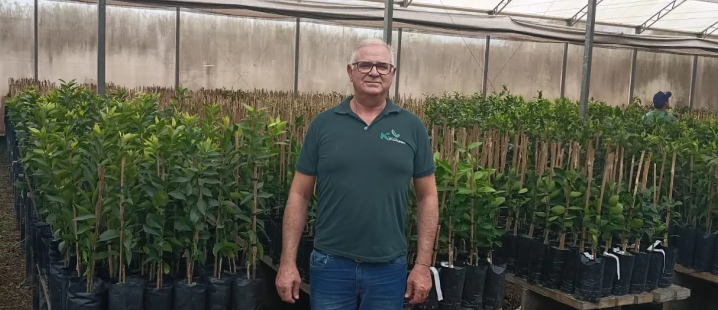  Paulo Kowaleski cultiva mudas de árvores há mais de 23 anosx 