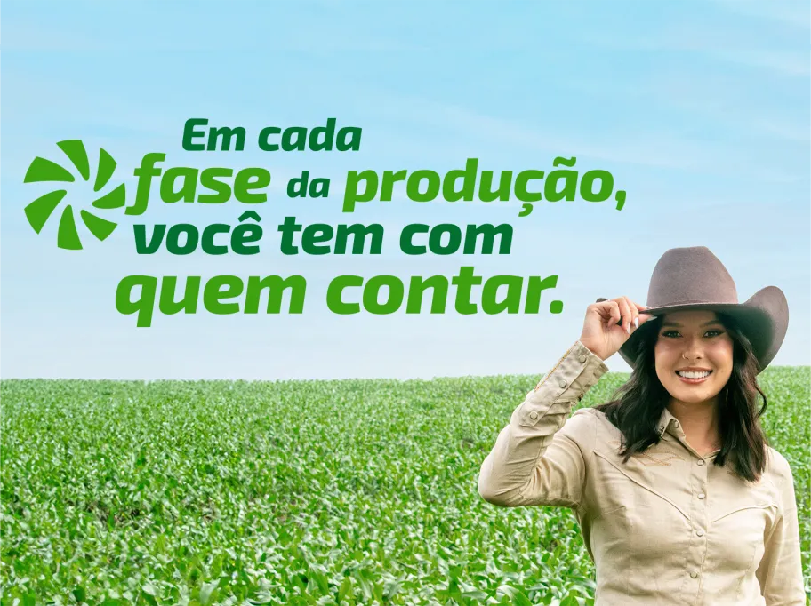  Imagem do site Sicredi 