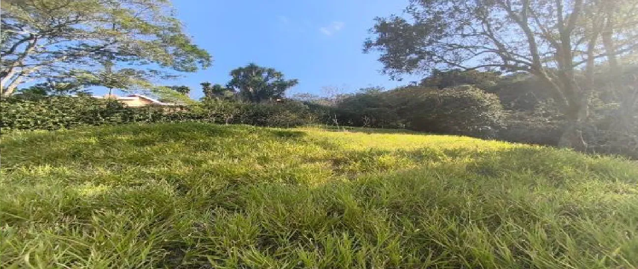  terreno 1 
