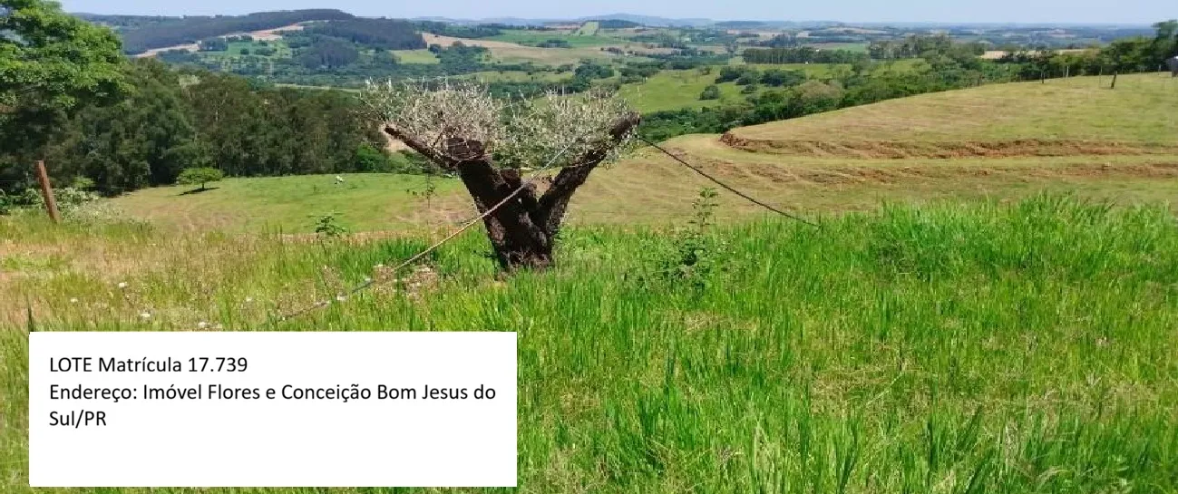  lote 5.jpg 