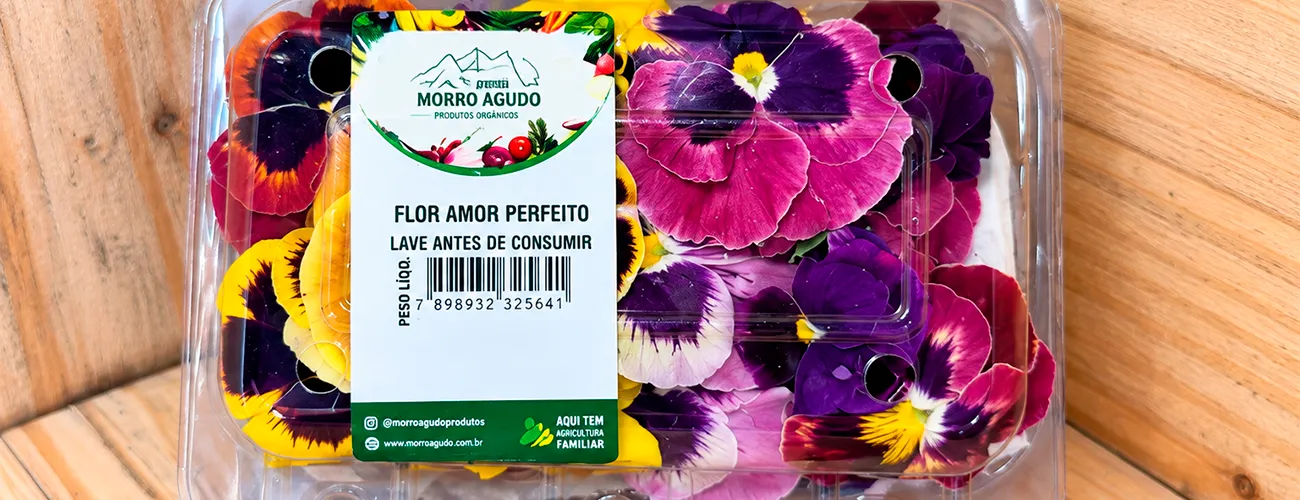  Morro Agudo.png 