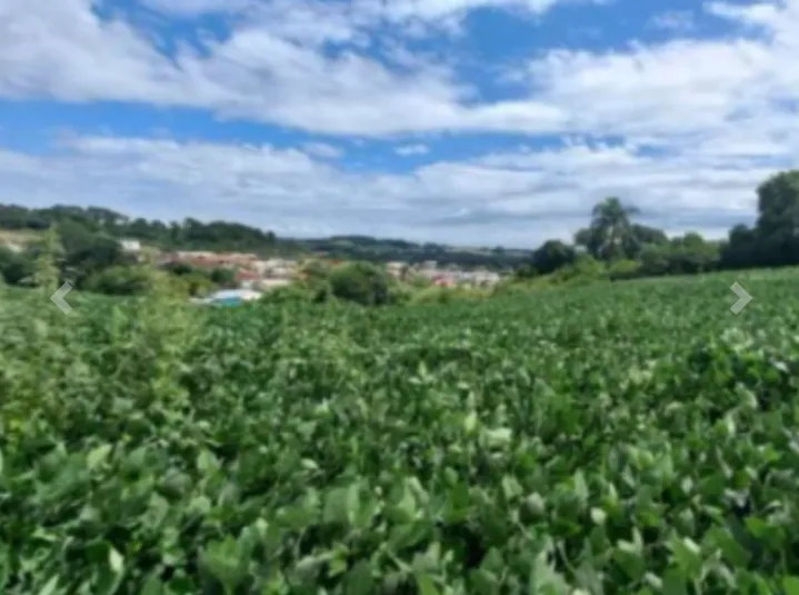  Lote3_camargo 