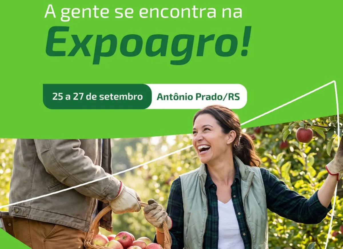  padrão 1250x870 (1)hhhhhhhhh 