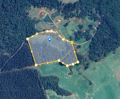  Captura de tela 2026-10-06 094926.png 