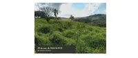 LOTE 3.jpg