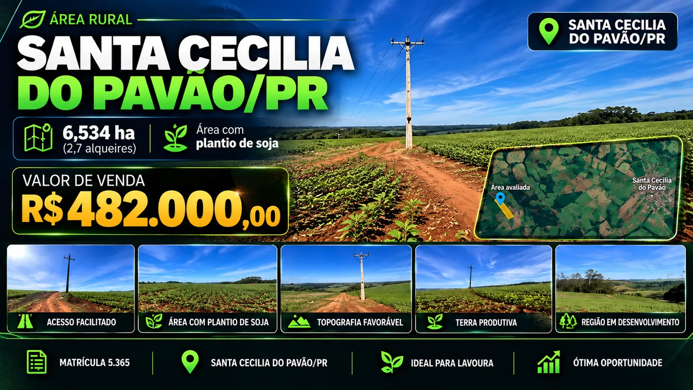  capa-1.PNG 