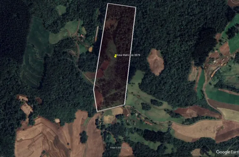  Captura de tela 2026-10-14 085425.png 