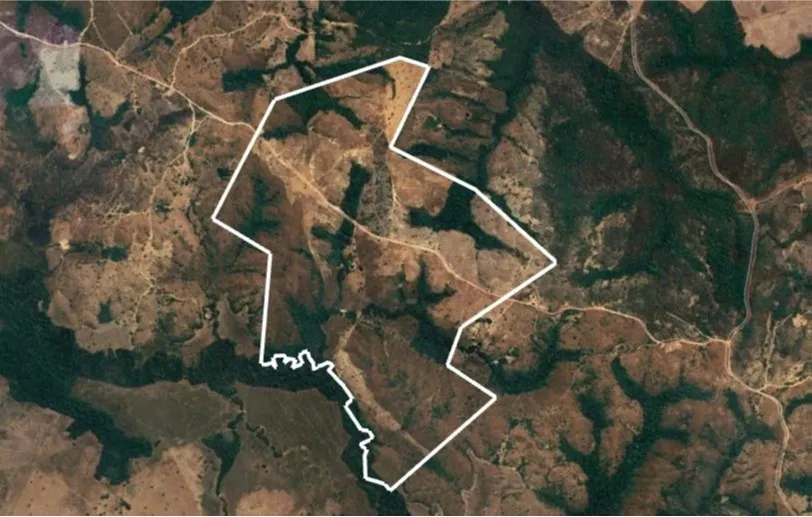  100591.jpg 