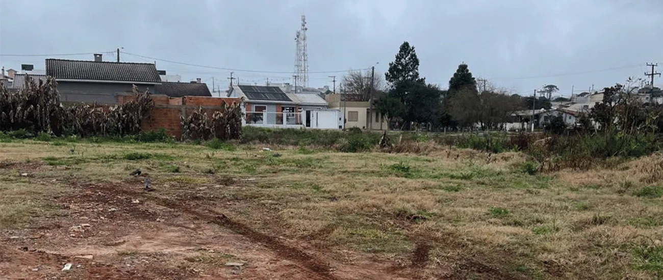  foto reduzida 