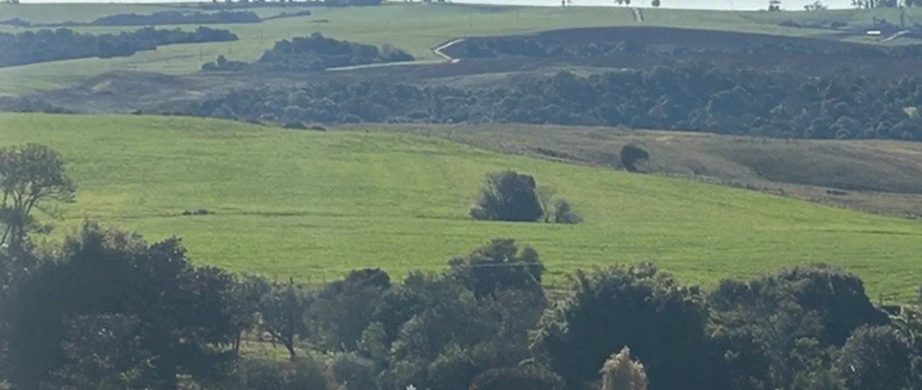 Pinhal Grande 1 