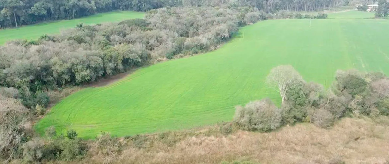  terreno1_2 