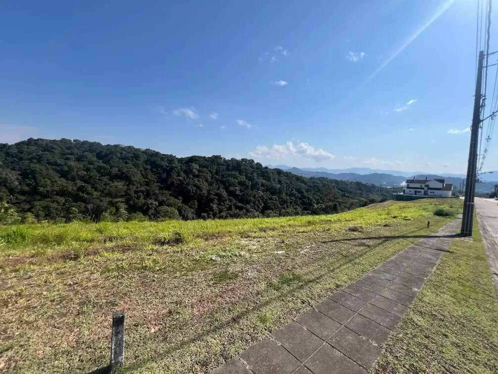  Captura de tela 2026-07-29 092230 