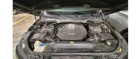 lr2.jpg